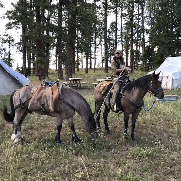 Elk Hunting in Colorado, near Durango